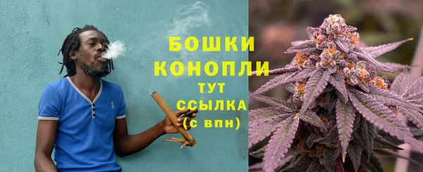дурь Кинешма