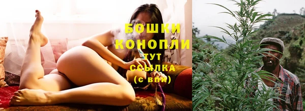 дурь Кинешма