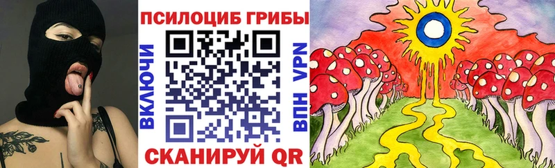 Псилоцибиновые грибы MAGIC MUSHROOMS  Купить где  Тольятти 