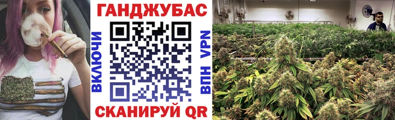 Купить закладки  Тольятти  Канабис семена 